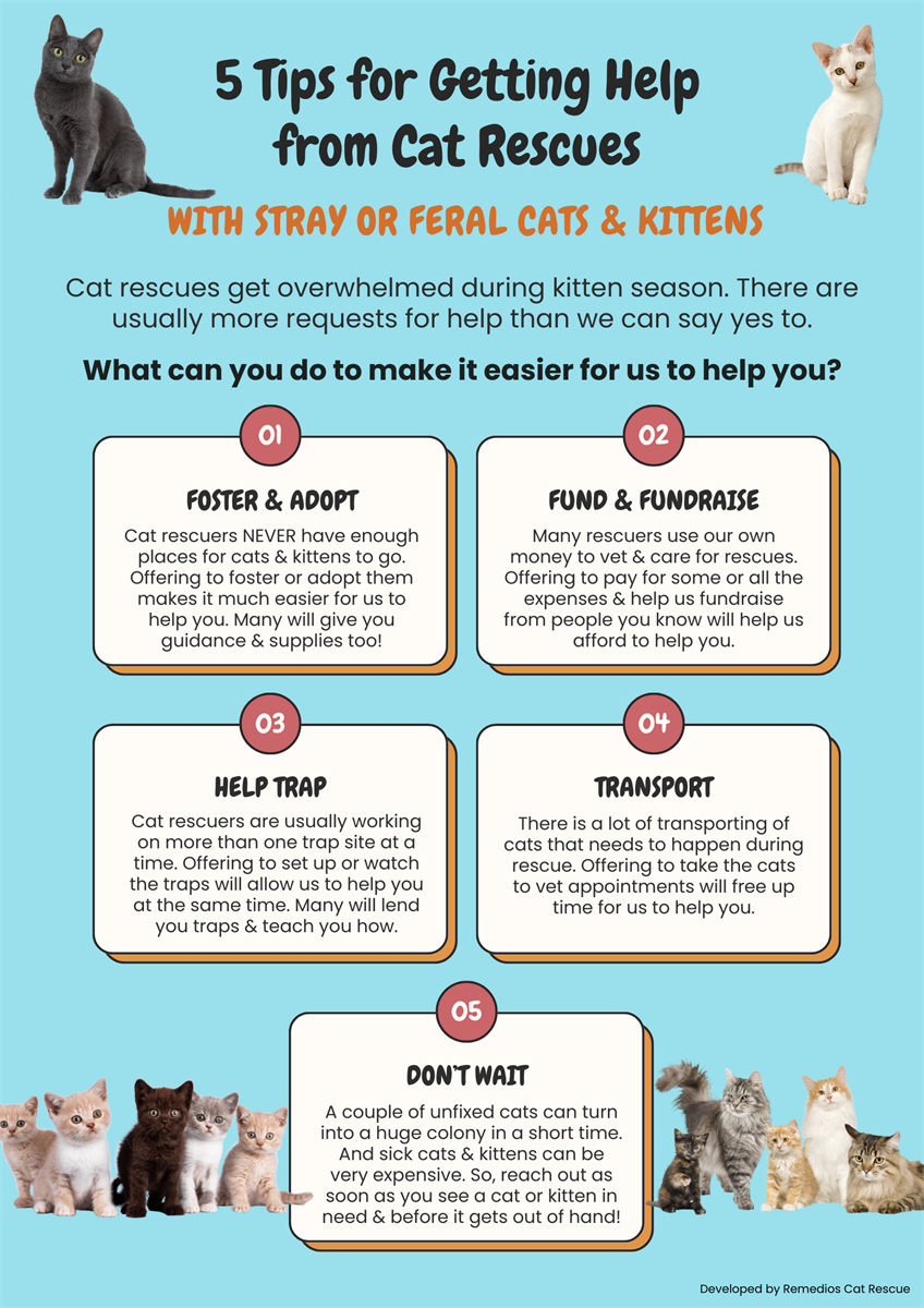 Facebook post educating community members about how to make it easier for cat rescuers to help them, especially during kitten season. 
